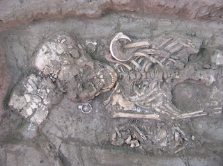 Illustration for article titled Deformed skulls discovered in 1,000-year-old Mexican cemetery